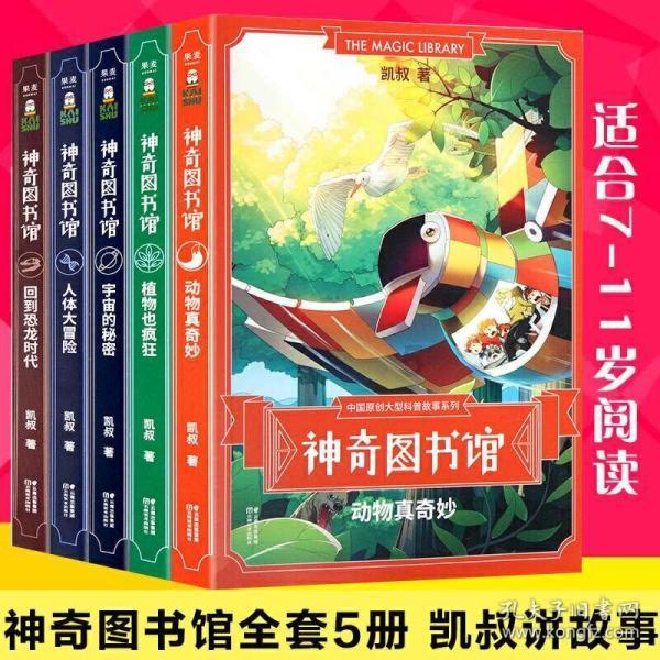 美妙森林找不同