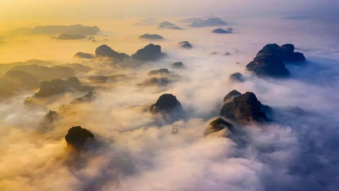 救援深海动物